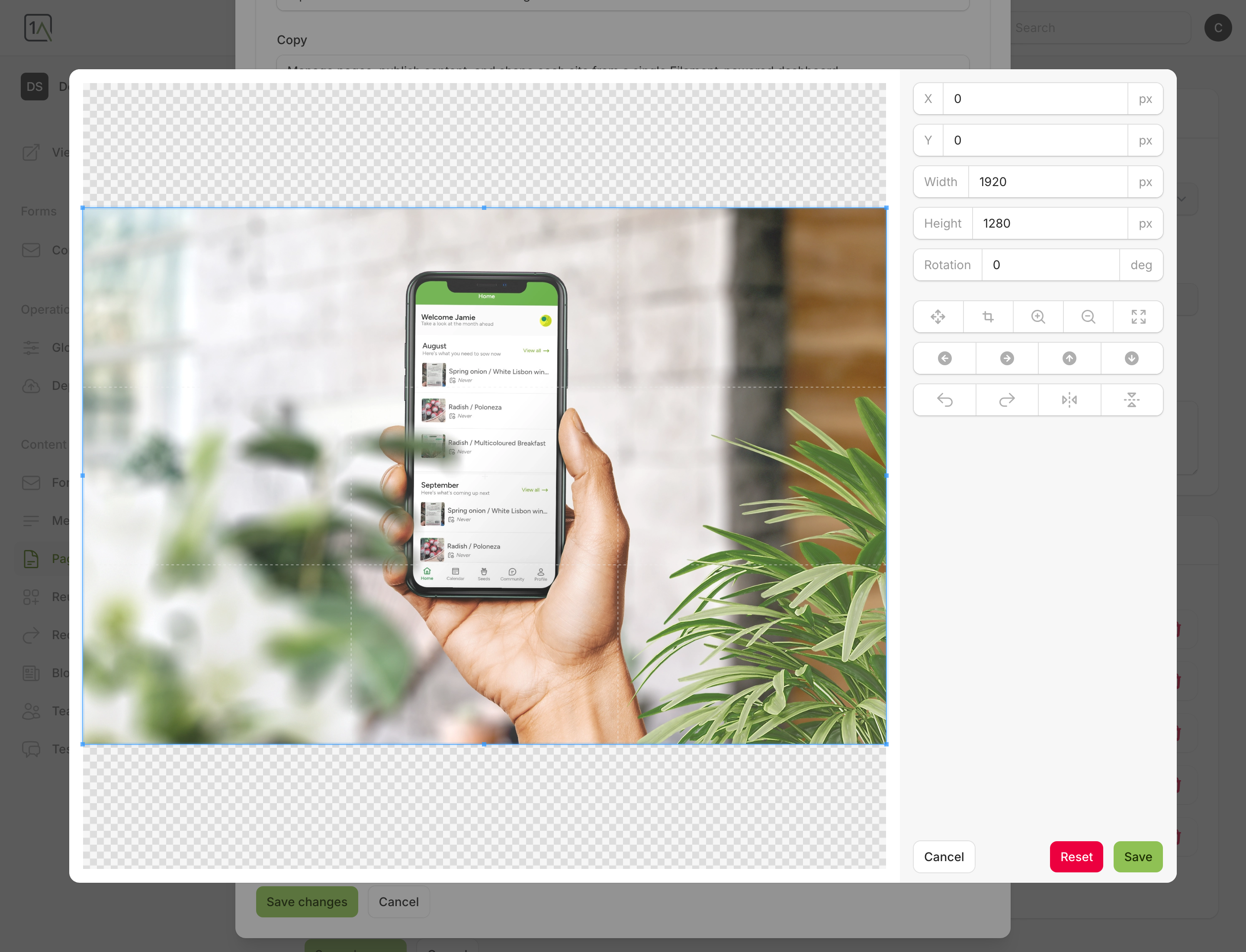 Image editor window